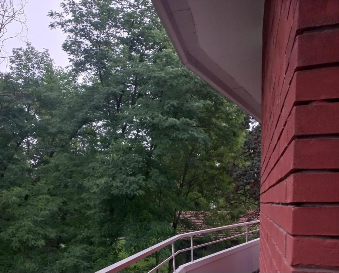 Lake Maggiore 2 Minutes Apartment Dormelletto Exterior photo